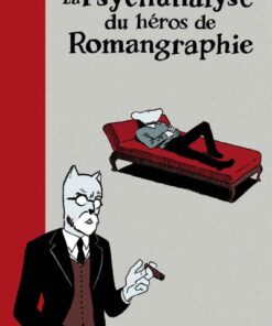Psychanalyse du héros de romangraphie