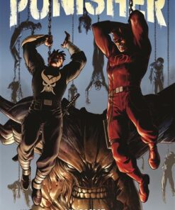 Punisher T02 : L'homme et le diable