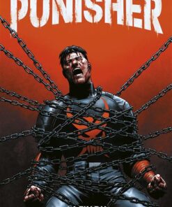 Punisher T03 : La fin du Punisher