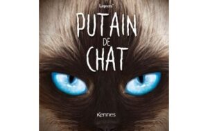 Putain de chat T10