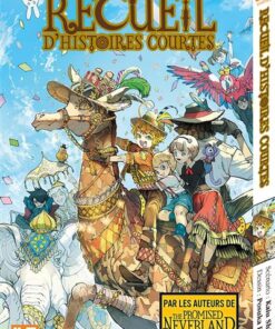 Recueil D'Histoires Courtes