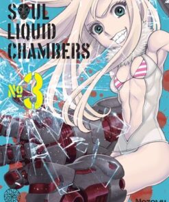 Soul liquid chambers T03