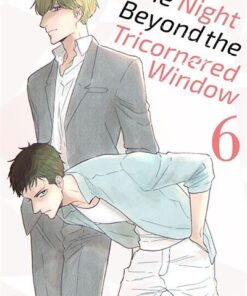 The night beyond the tricornered window T06