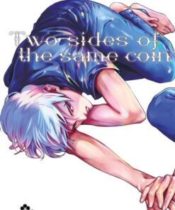 Two Sides of the Same Coin - Tome 1