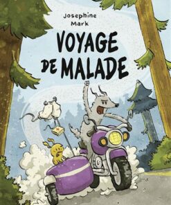 Voyage de malade