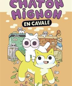 Chaton Mignon
