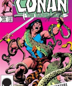 Conan le Barbare : L'intégrale 1984 (T17)