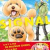 Dog Signal T01