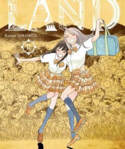 Land T11
