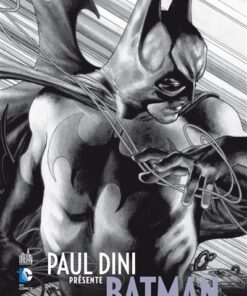 PAUL DINI PRÉSENTE BATMAN  - Tome 1