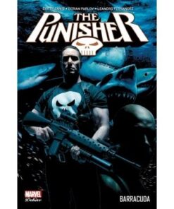 Punisher t04