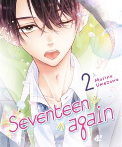 Seventeen Again T02