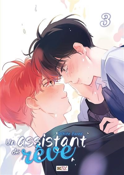 Un assistant de rêve T03