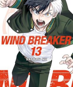 Wind Breaker T13