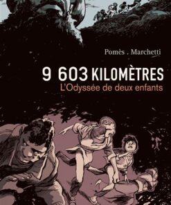 9603 kilomètres