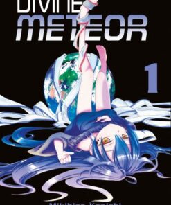 Divine meteor - Tome 1
