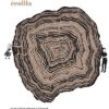 Ecolila