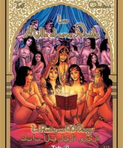 Les mille et une nuits 2