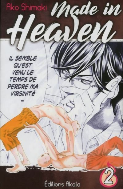 Made in Heaven - Tome 2