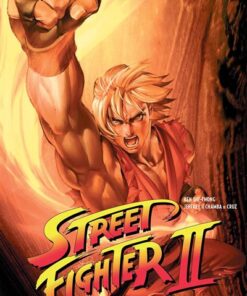 STREET FIGHTER II - Tome 3