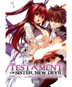 The Testament of sister new devil T07