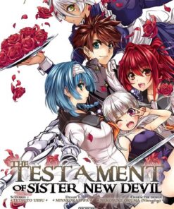 The Testament of sister new devil T09