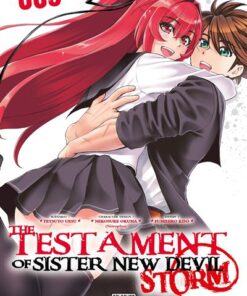 The Testament of sister new devil storm T05
