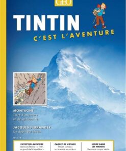 Tintin - C'est l'aventure 3