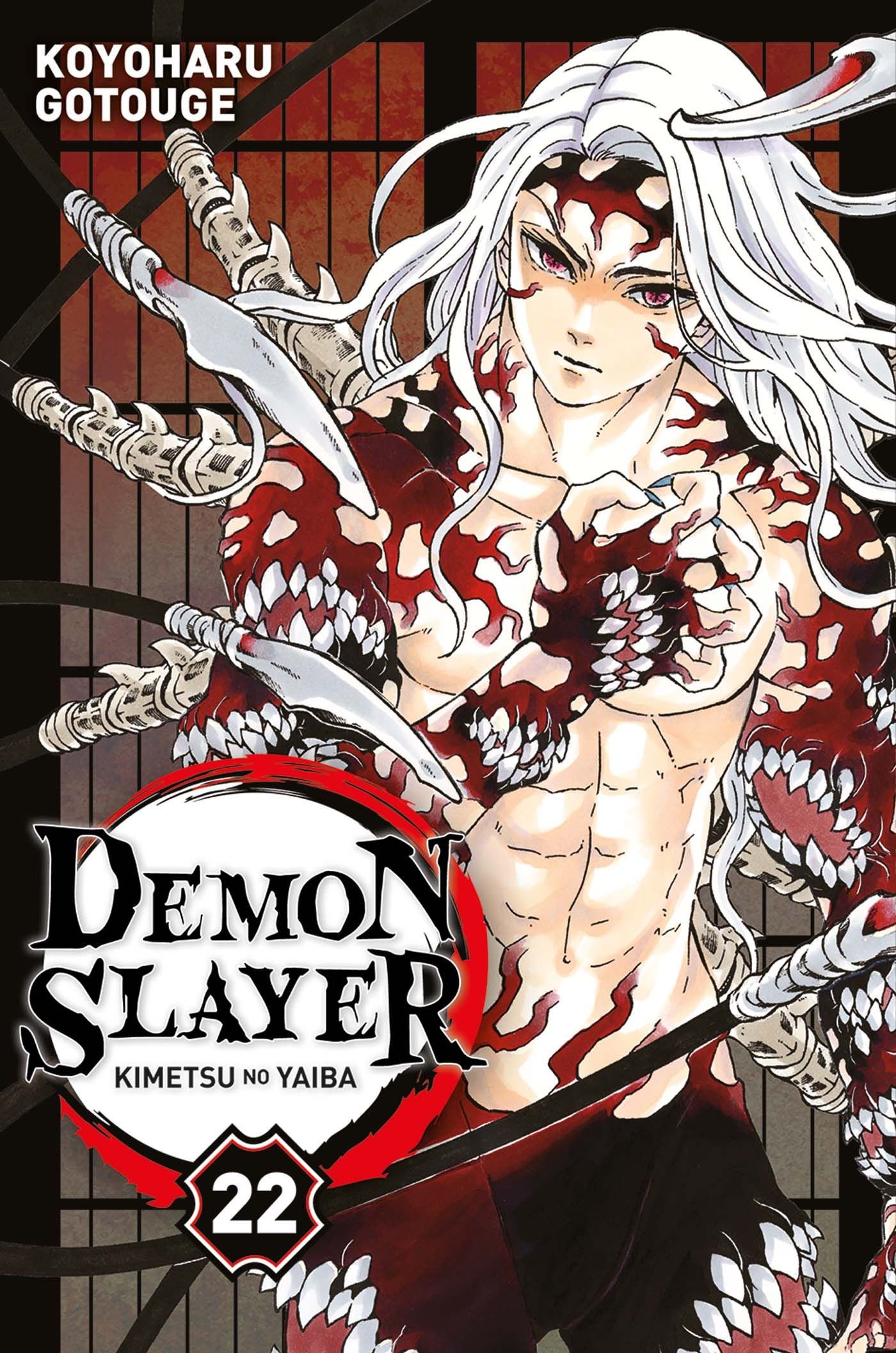 Vol.22 Demon Slayer
