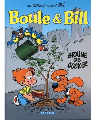 Graine de cocker - OP ETE 2020