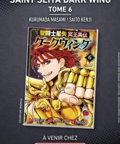 Saint Seiya Dark Wing - Tome 6
