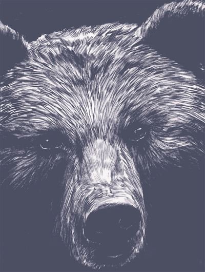 La Dernière Reine - Nouvelle édition luxe