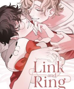 Link and Ring - (VF)