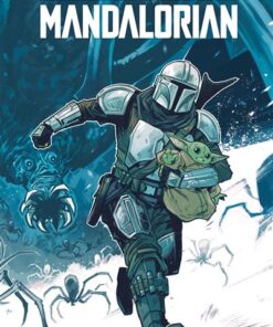 Star Wars - The Mandalorian T03