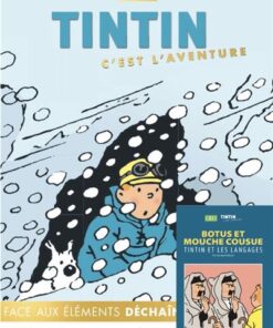 Tintin c'est l'aventure 22