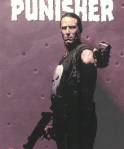 Punisher Tome 8