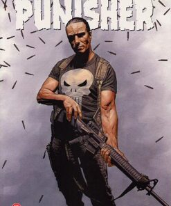Punisher Tome 9