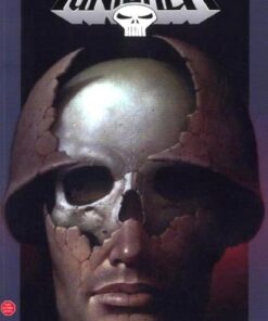 Punisher Tome 1