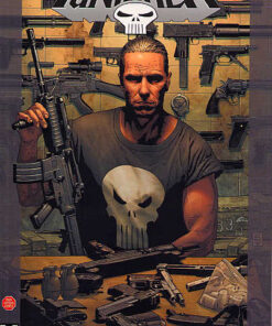 Punisher Tome 2