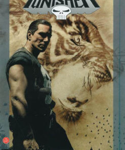 Punisher Tome 6