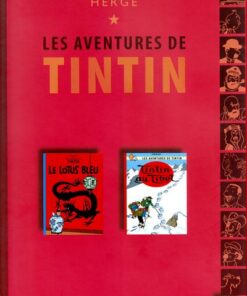 Tintin