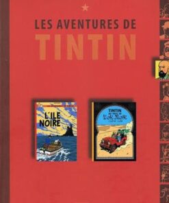 Tintin