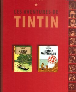 Tintin
