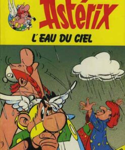 Astérix Tome 6