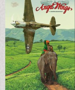 Angel Wings Tome 1