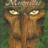 Au-delà des merveilles Tome 1