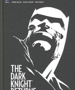 Batman - Dark Knight