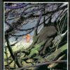 Les Passagers du vent Tome 4