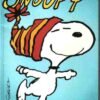 Snoopy Tome 5