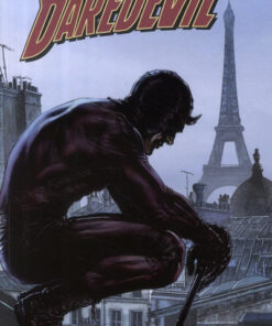 Daredevil Tome 15